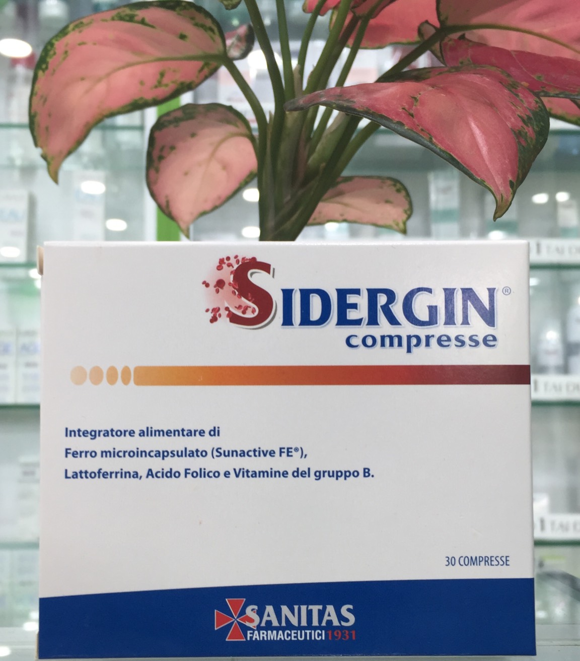 SIDERGIN Compresse - Bổ sung sắt, tăng cường sức đề kháng (Hộp)